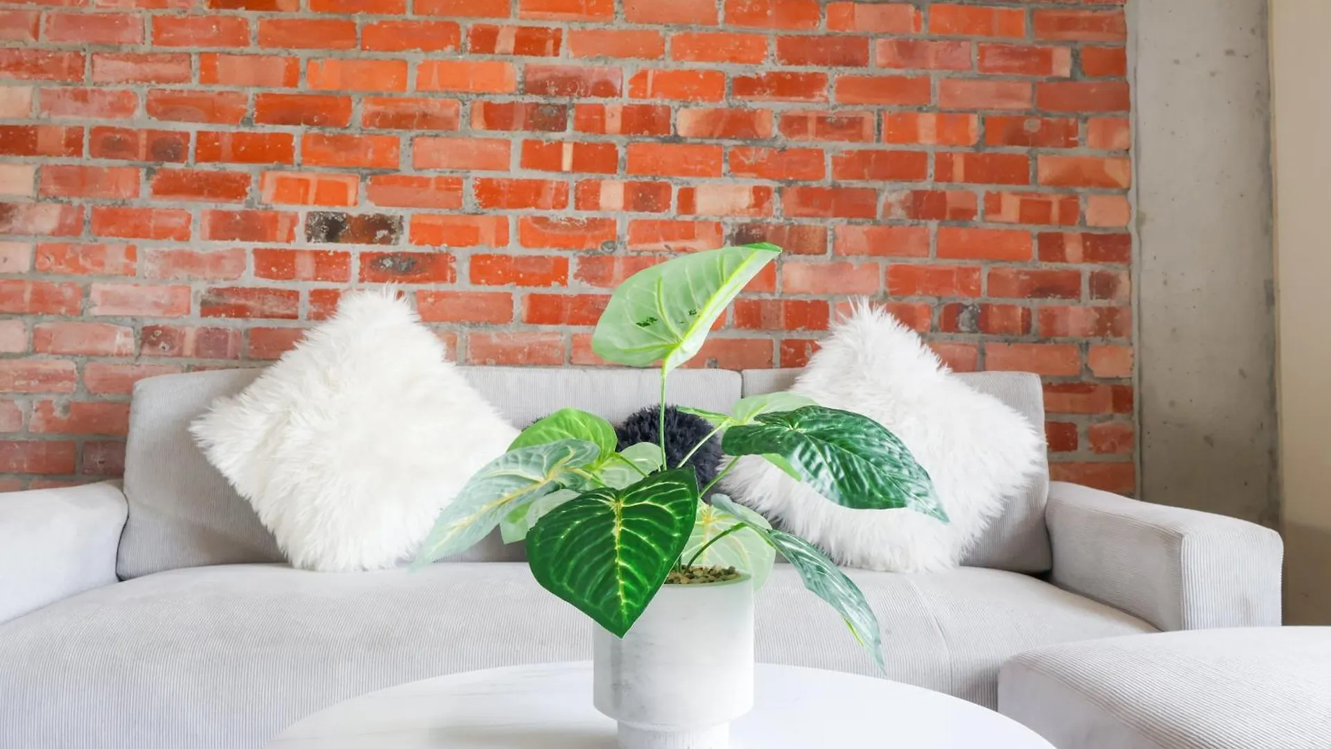 Bachelor Apartment In Cape Town